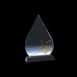 Crystal Award