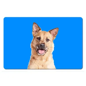 Custom Pet Art Desk Mats