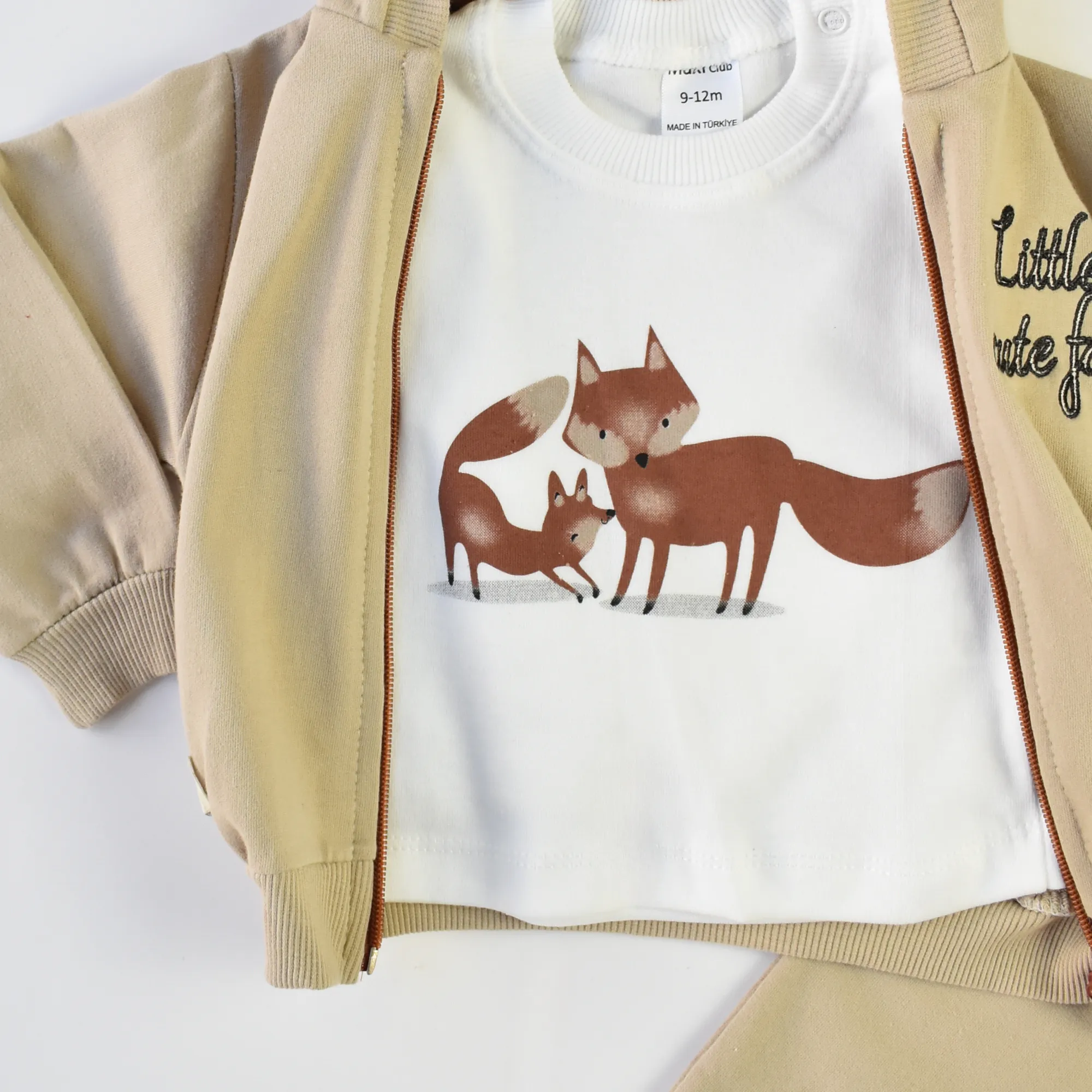 Cute Fox Boys Hoodie Set