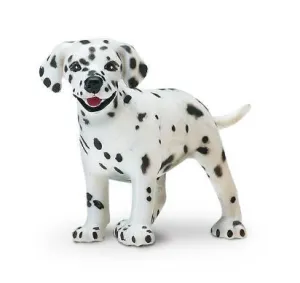 Dalmation Puppy