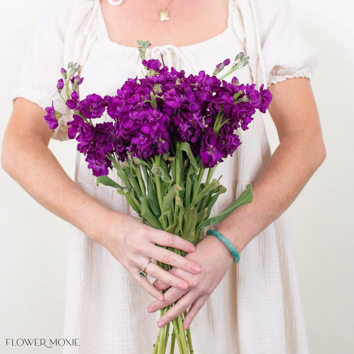 Dark Purple Stock Flower