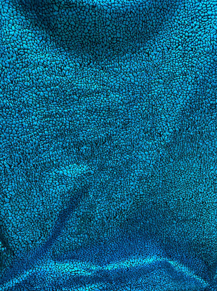 Dark Turquoise Avatar Spandex Fabric Sample