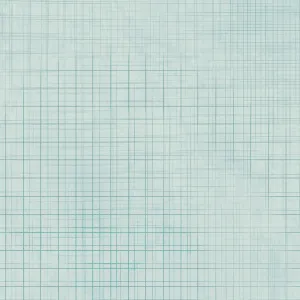 Darling Ducklings | Graph Paper Turquoise by Raquel Maciel for P&B Textiles |  DDUC05502-T