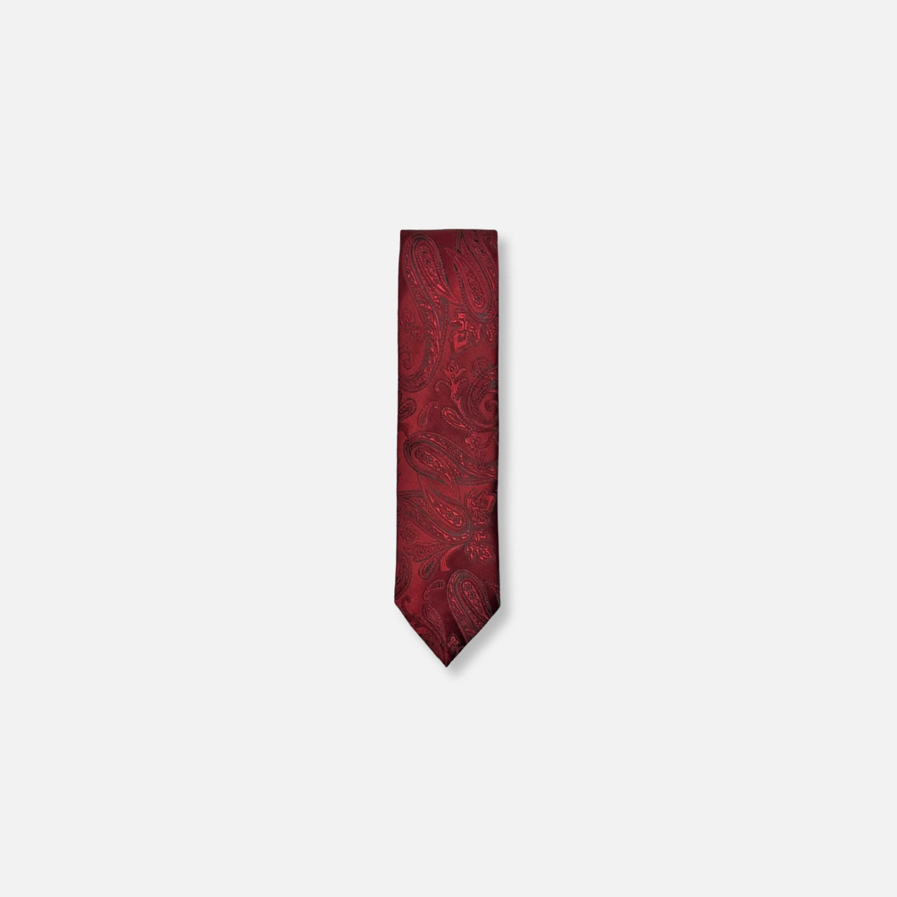 Daulton Classic Paisley Tie