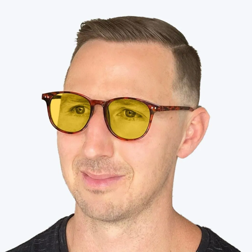 DayMax Billie Glasses - Tortoise - Readers