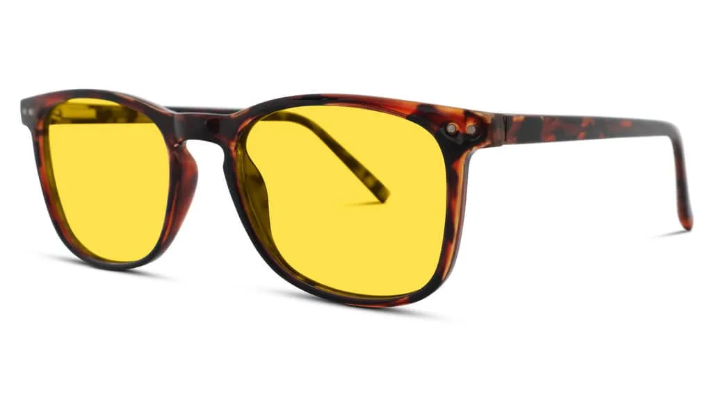 DayMax Taylor Glasses - Tortoise - Readers