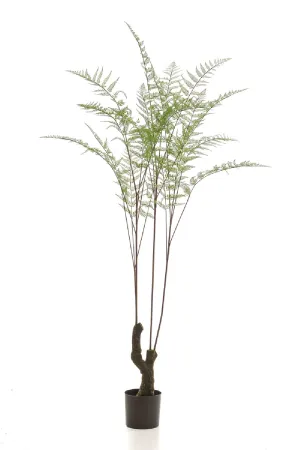 Decorative Potted Faux Plant Set (2) | Emerald Fern Forest On Trunk