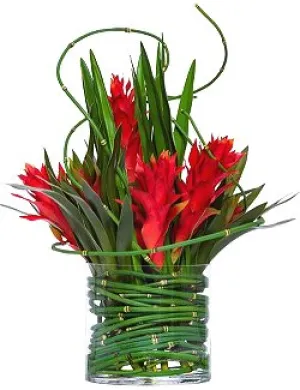 Deep Red Ginger & Bromeliad Yacht Silks Centerpiece Arrangement