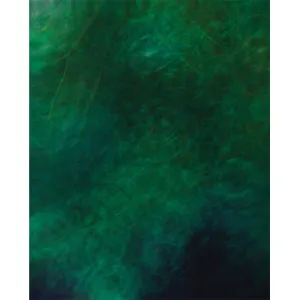 Deep Sea Old Masters Printed Backdrop