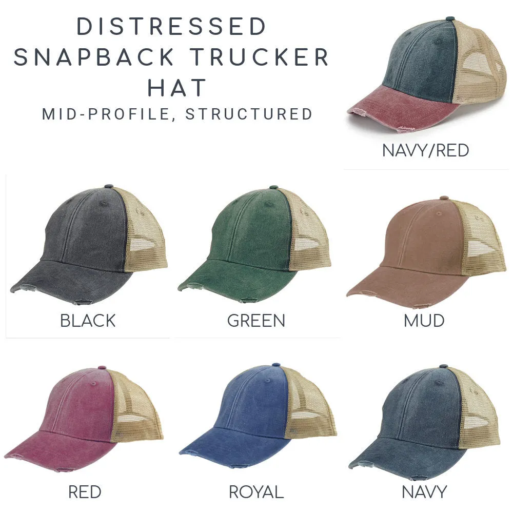 Delaware  Hat | Distressed Snapback Trucker | state cap | many color choices