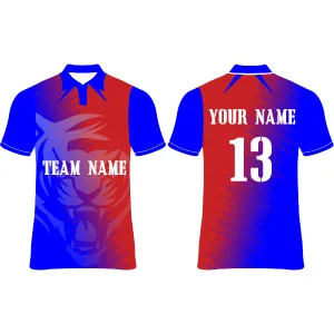 Delhi Custom Cricket Jerseys NP090000