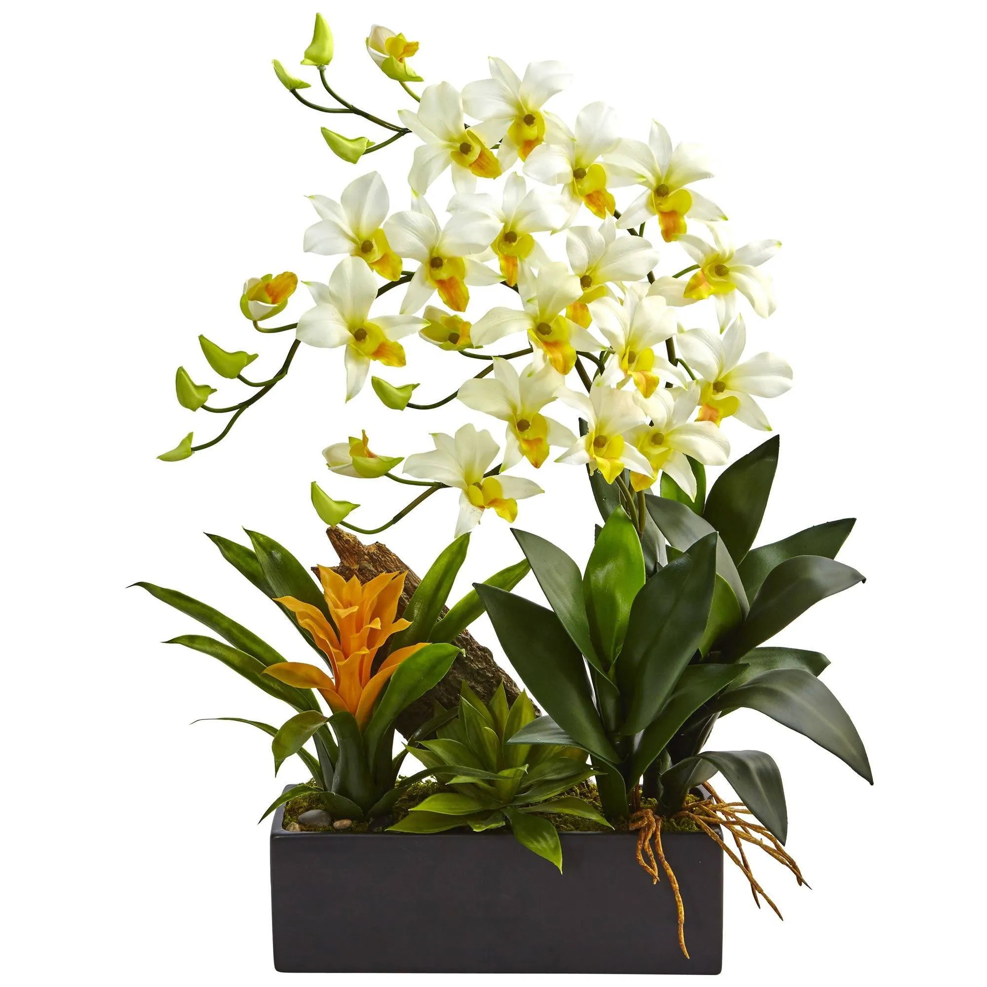 Dendrobium and Bromeliad Arrangement