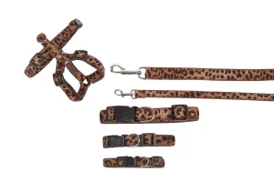 Designer Collection - Dog Collars, Harnesses & Leads - Leopard Cotton