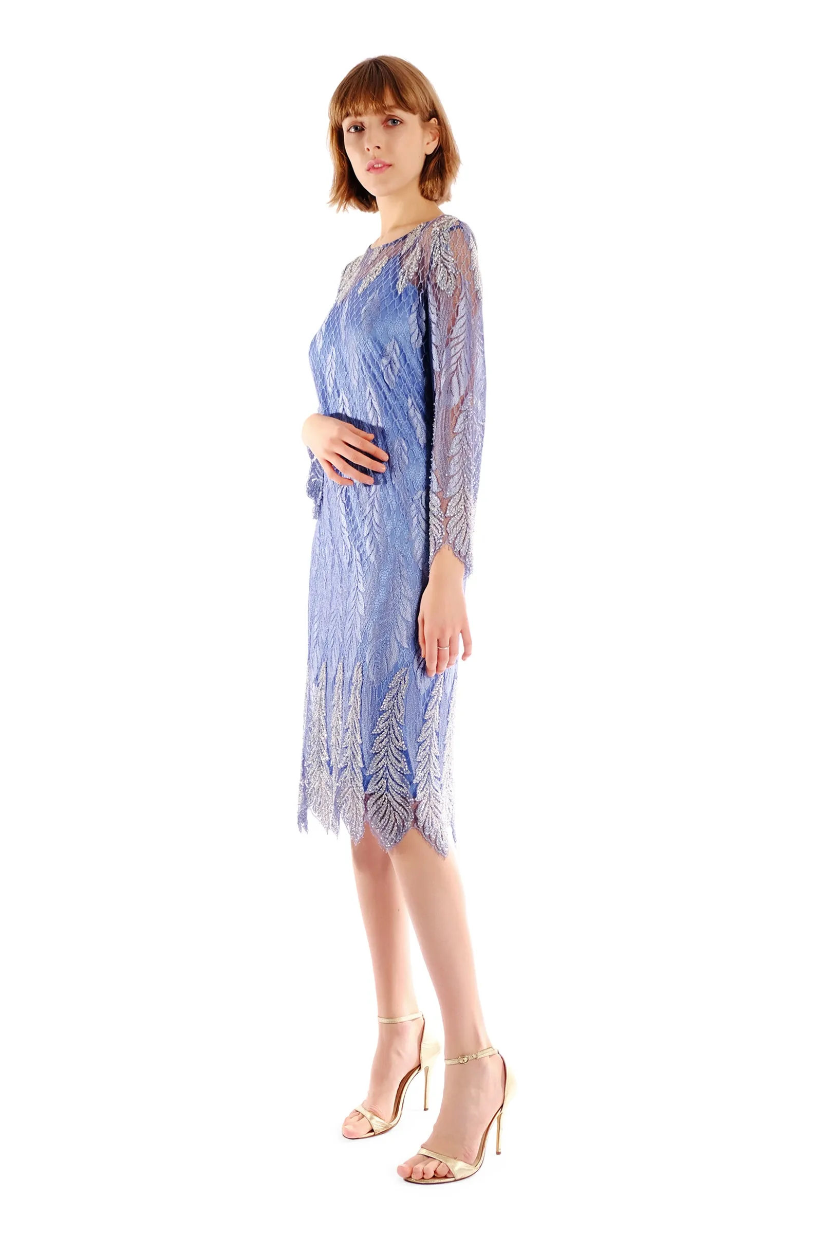 Dia Lace Embroidered Dress (Blue)