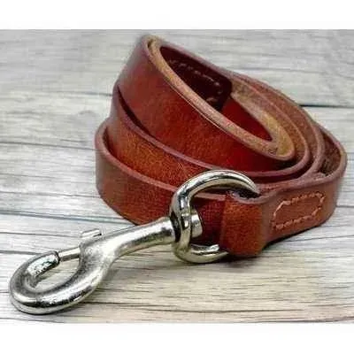 Didog Stylish Leather Dog Leash