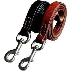 Didog Stylish Leather Dog Leash