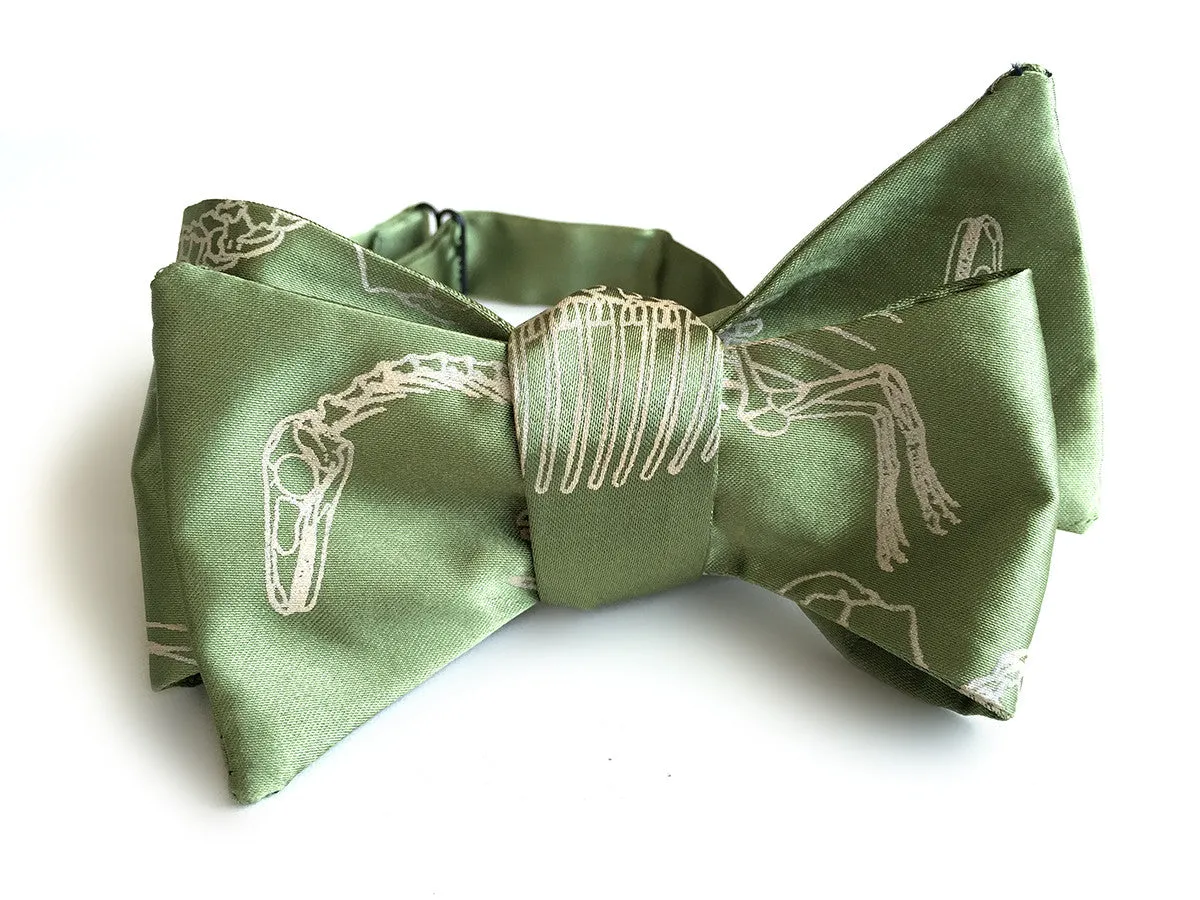 Dinosaur Bones bow tie.