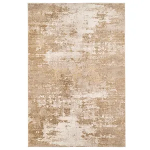 Distressed Beige Living Room Area Rug - Monroe