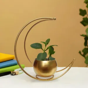 Divine Quest Metal Flower Vase, Decorative Items for Home, Flower Vases for Home Decor, Centre Table Decoration Piece, Golden Vase for Home Décor- Decorative Pots.