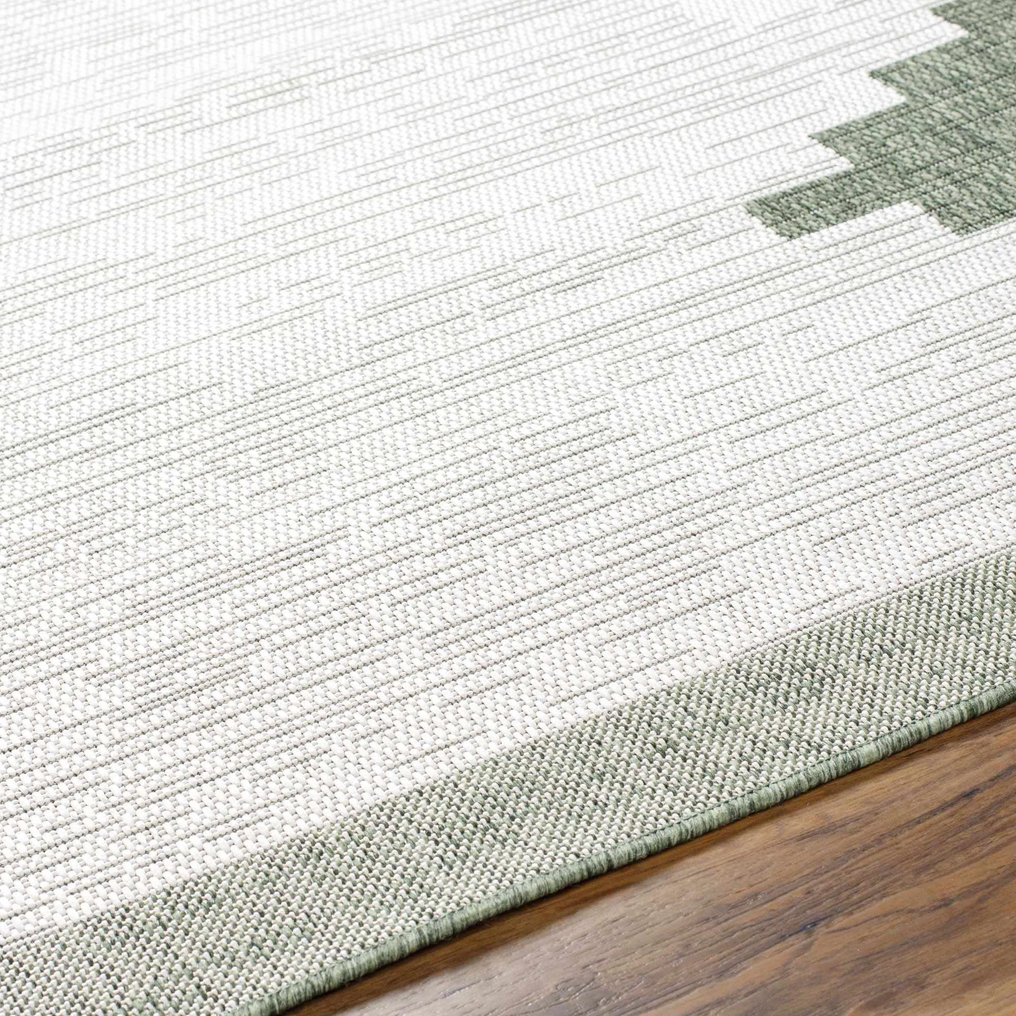 Djugun Green Indoor & Outdoor Rug