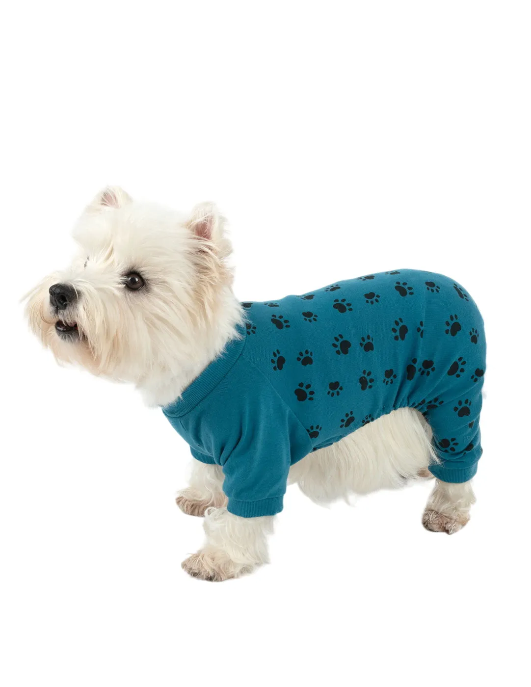 Dog Blue Paw Print Pajamas