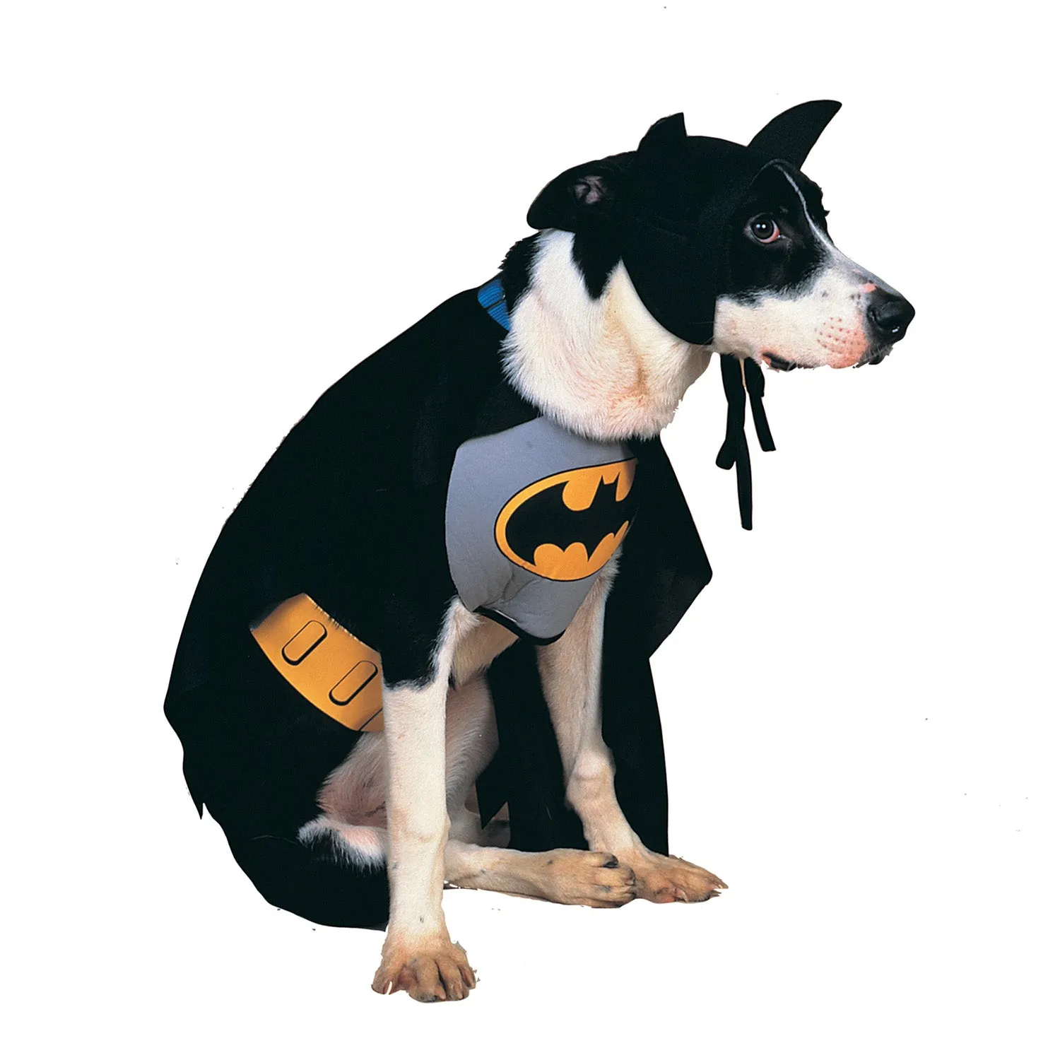 Dog Halloween Costumes | Batman Classic