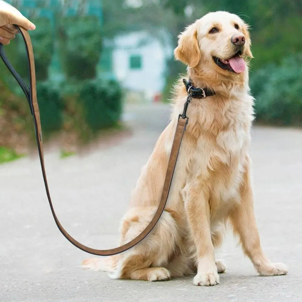 Dog Leather Leash - Set of Stylish Collar