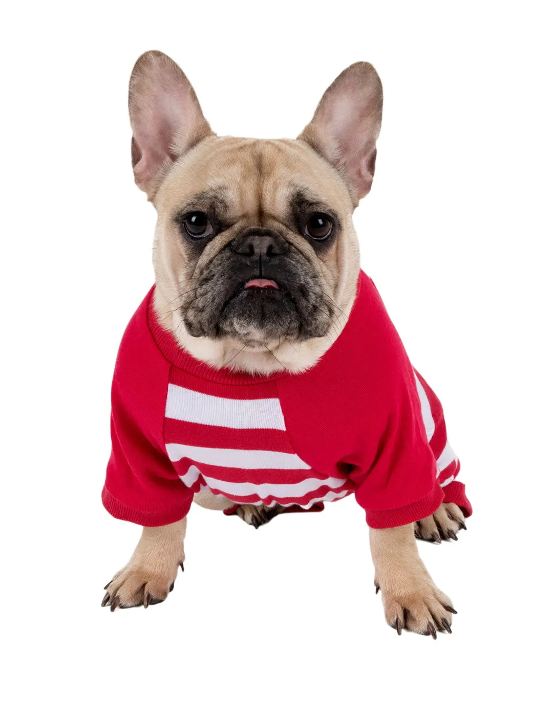 Dog Red & White Stripes Cotton Pajamas