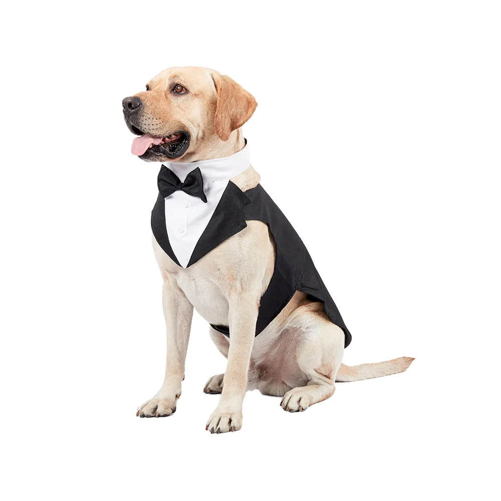 Dog Wedding Suit