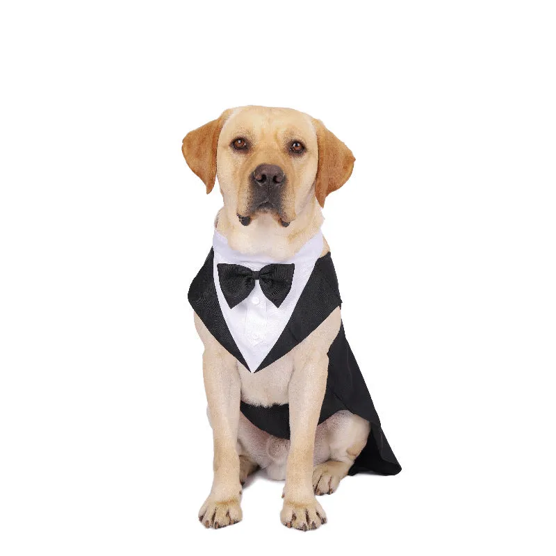 Dog Wedding Suit