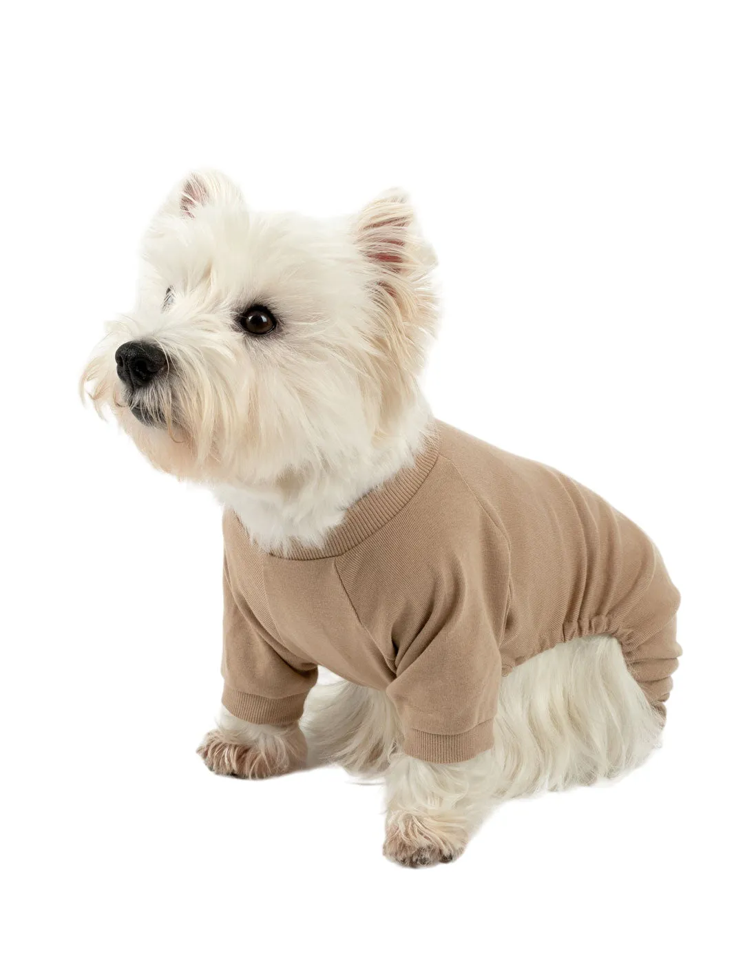 Dogs Solid Color Beige Pajamas