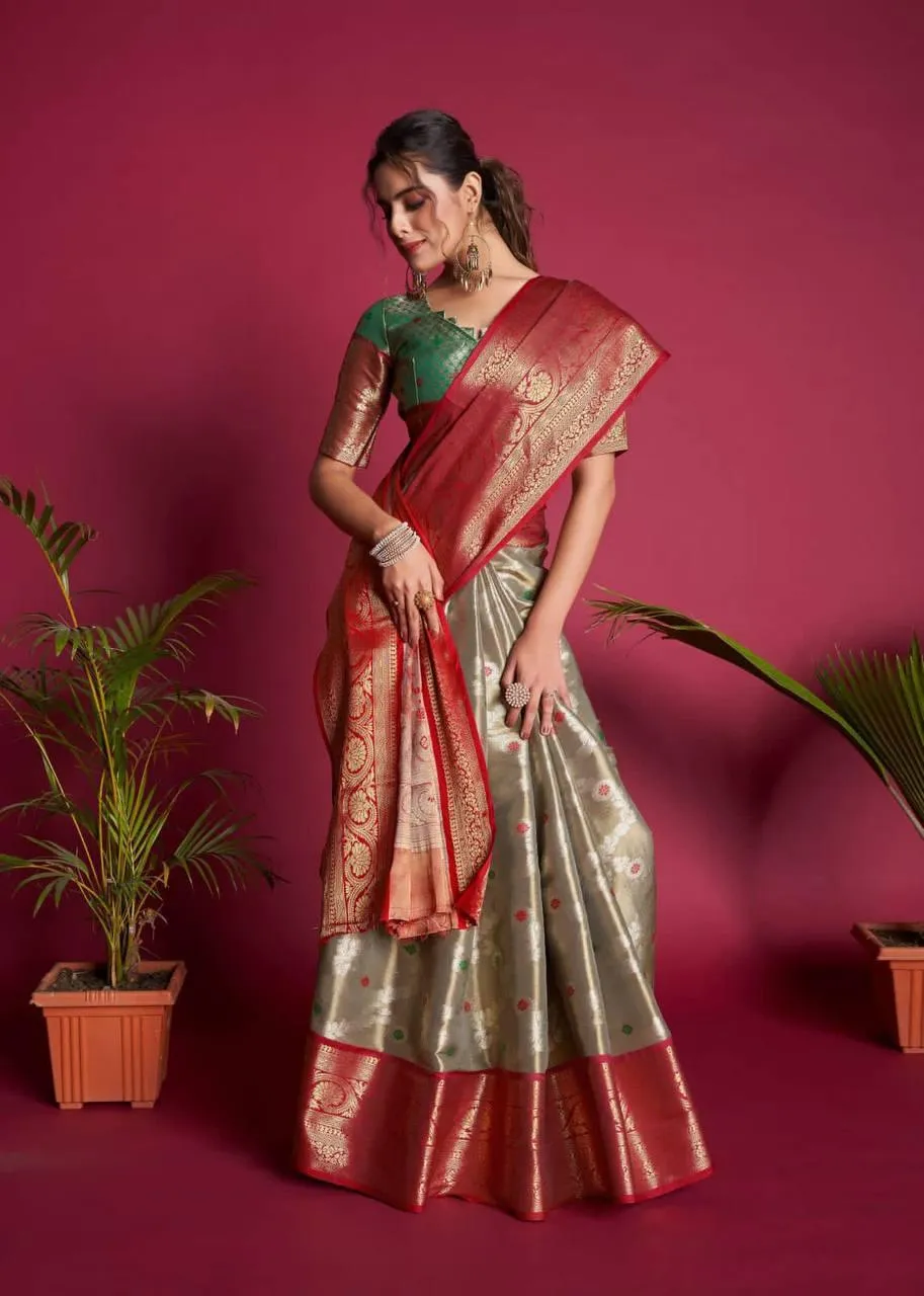 Dolphin Grey Kanjivaram Silk  Saree