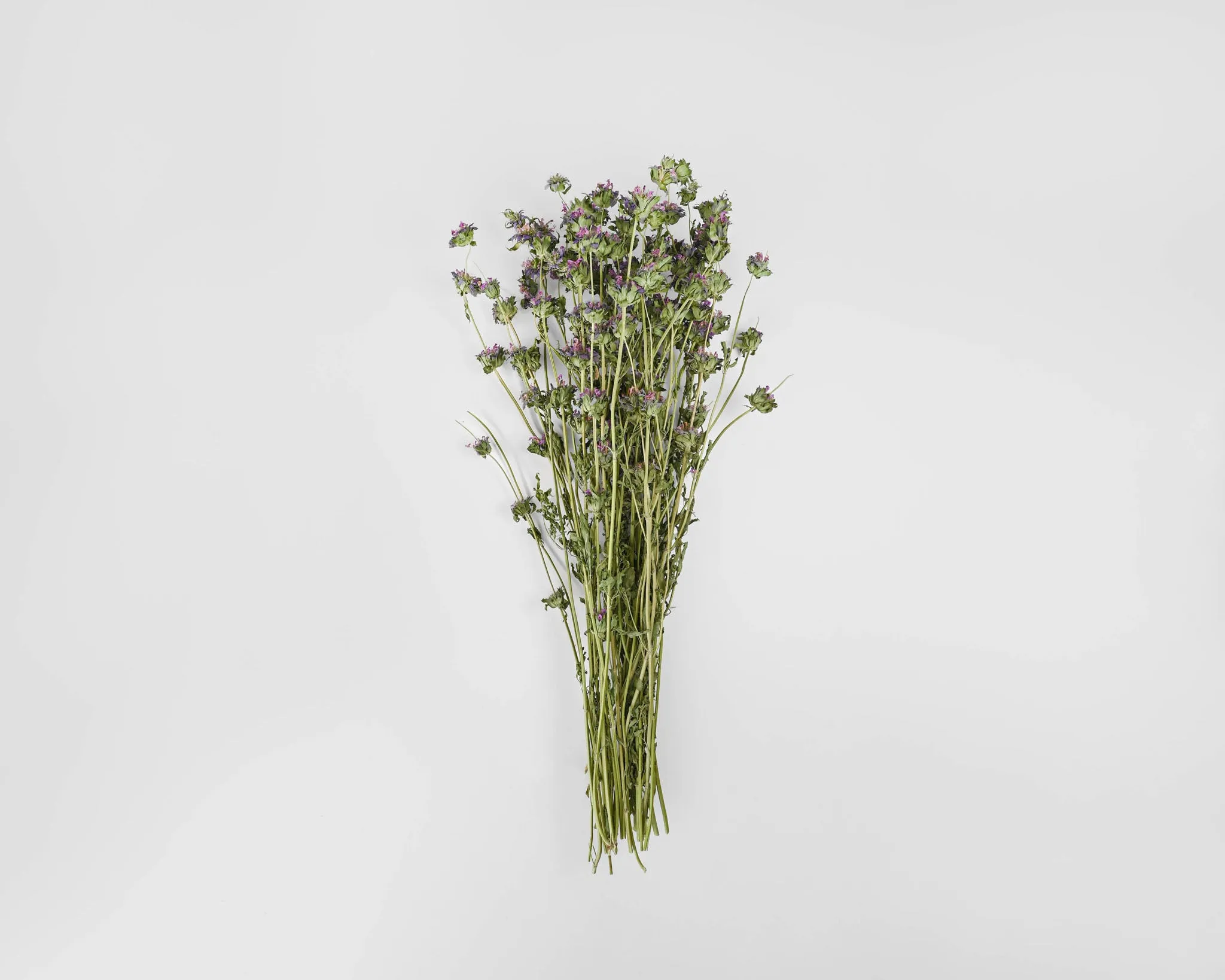 Dried Lemon Mint Flower Bouquet