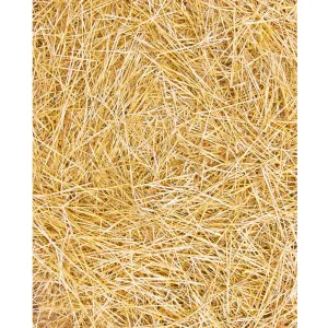 Dry Straw Printed Backdrop