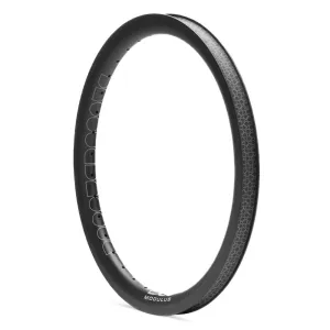 Duo Modulus 20" Carbon Rim