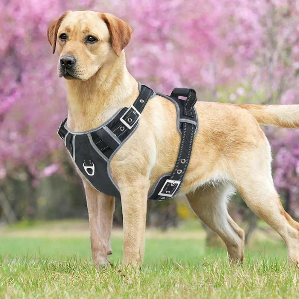 Durable Reflective Pet Dog Harness Vest with