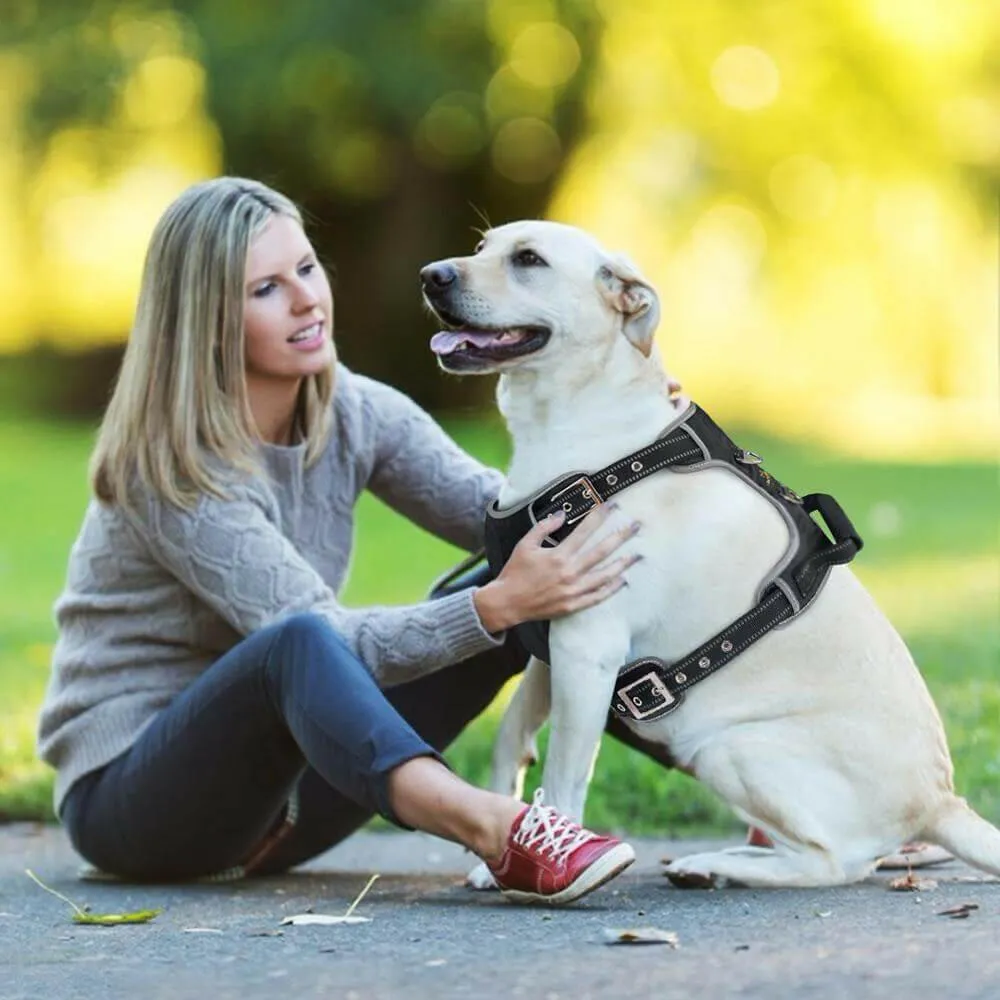 Durable Reflective Pet Dog Harness Vest with