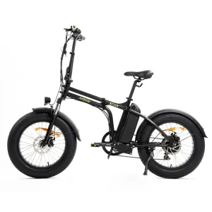 DWMeigi 500W MG8710 Fat Tire Electric Bike