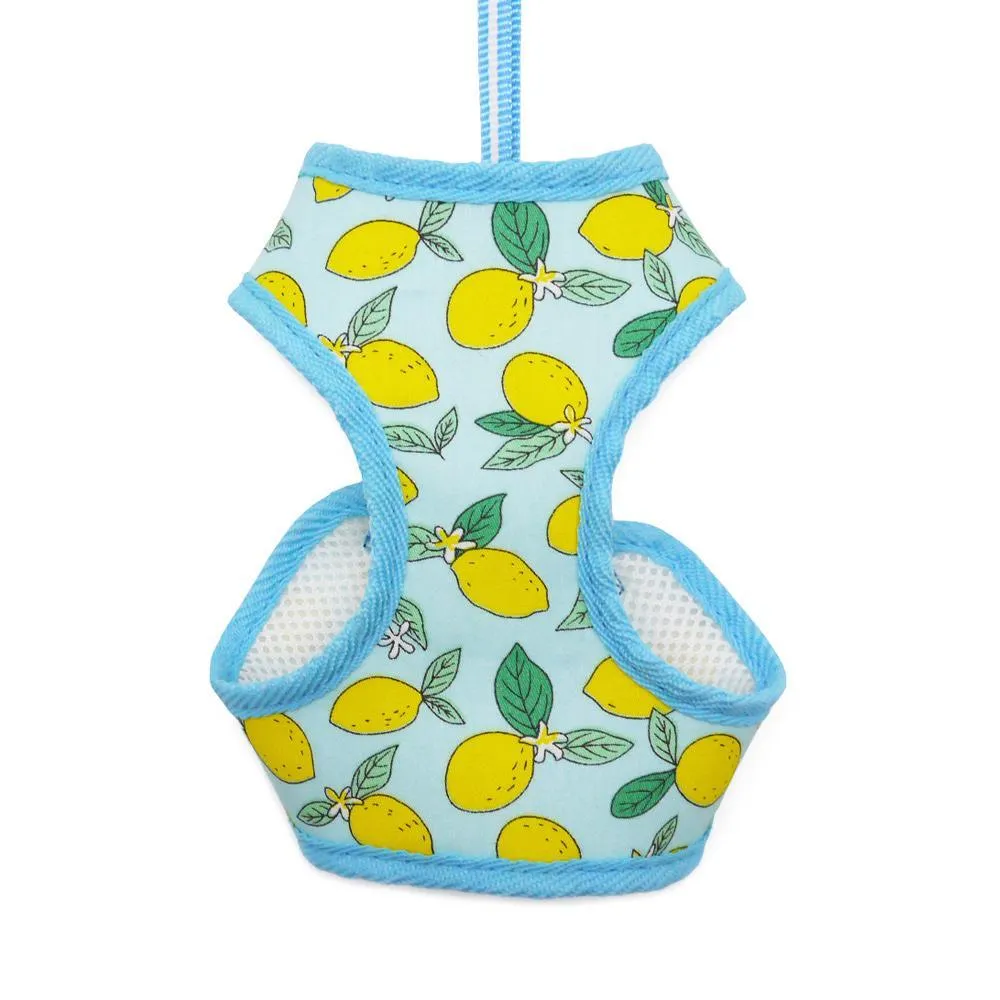 Easy Go Dog Harness Lemon Blue