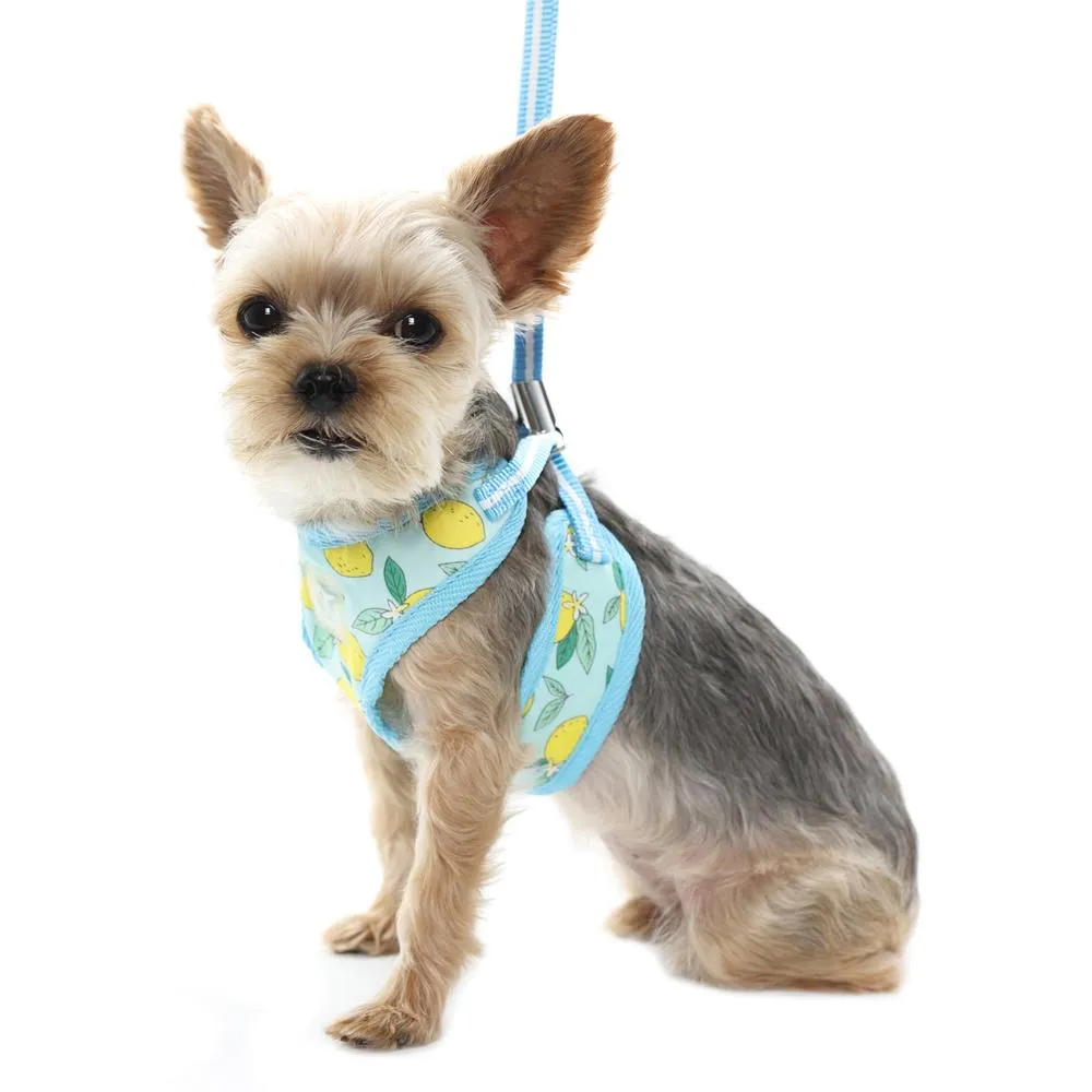 Easy Go Dog Harness Lemon Blue