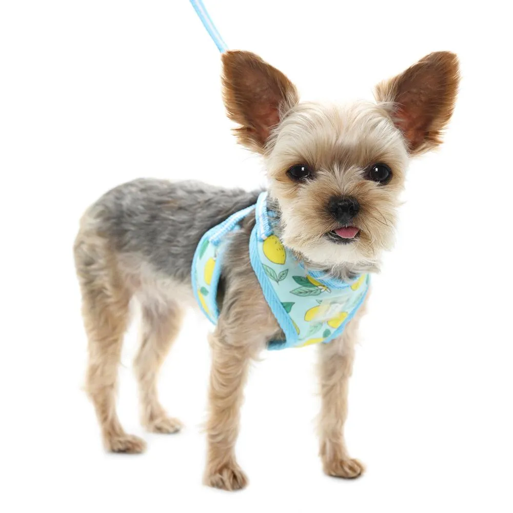 Easy Go Dog Harness Lemon Blue