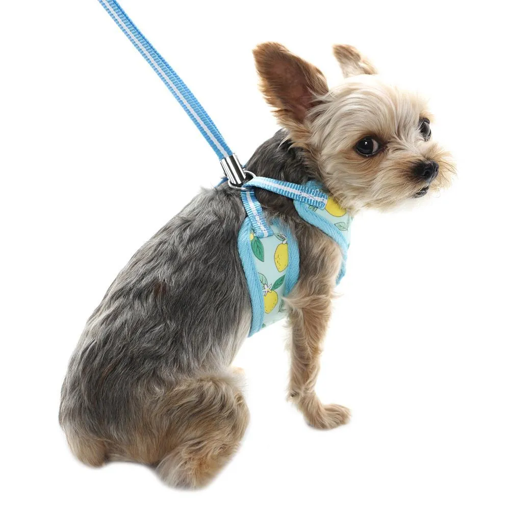 Easy Go Dog Harness Lemon Blue