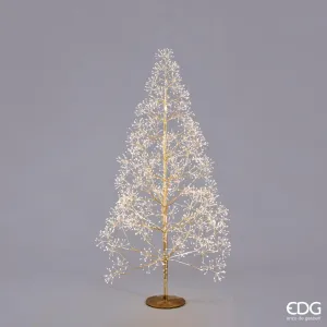 Edg - albero faggio luminoso 2100 led gold | rohome