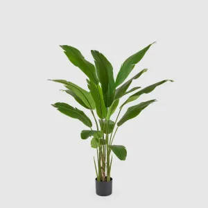 EDG Enzo De Gasperi Pianta Artificiale Strelitzia Chic 155cm Verde