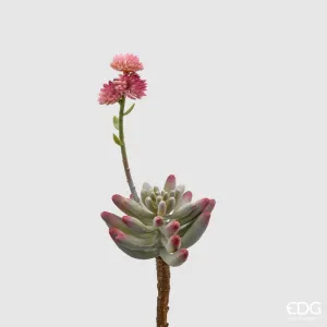 Edg - fiore artificiale sedum pick con fiore  | rohome