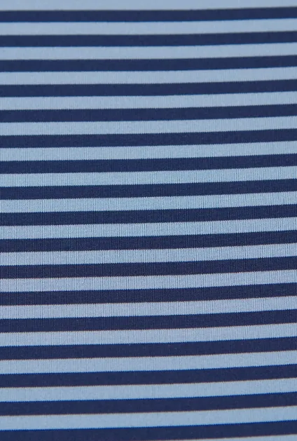 Edward Stripe Performance Polo - Admiral/Luxe Blue