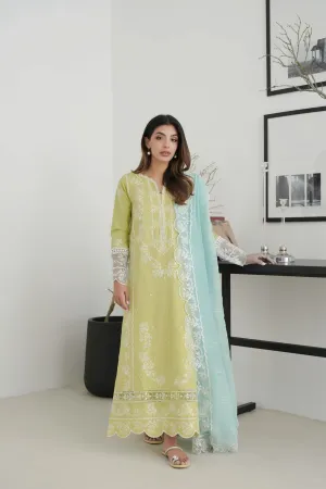 Eid Ul Azha '24 - Pistachio Nel-24620