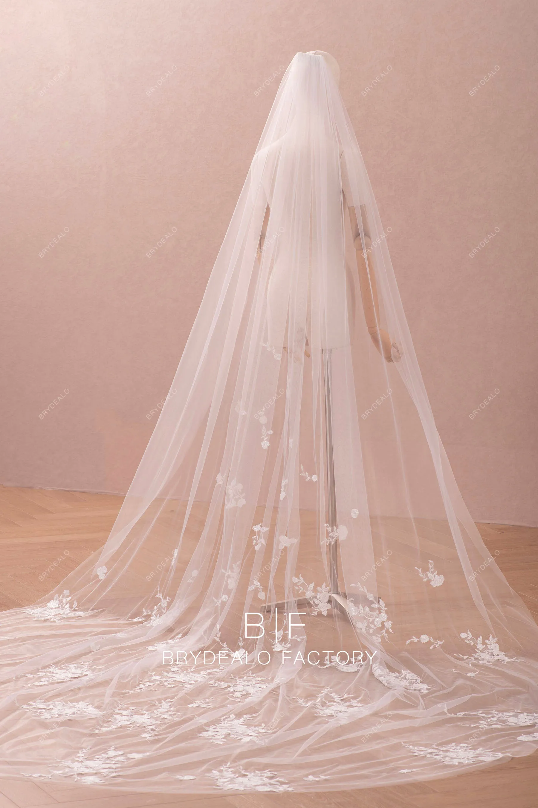 Elegant Ivory Cathedral Bridal Veil with Flower Lace Appliques