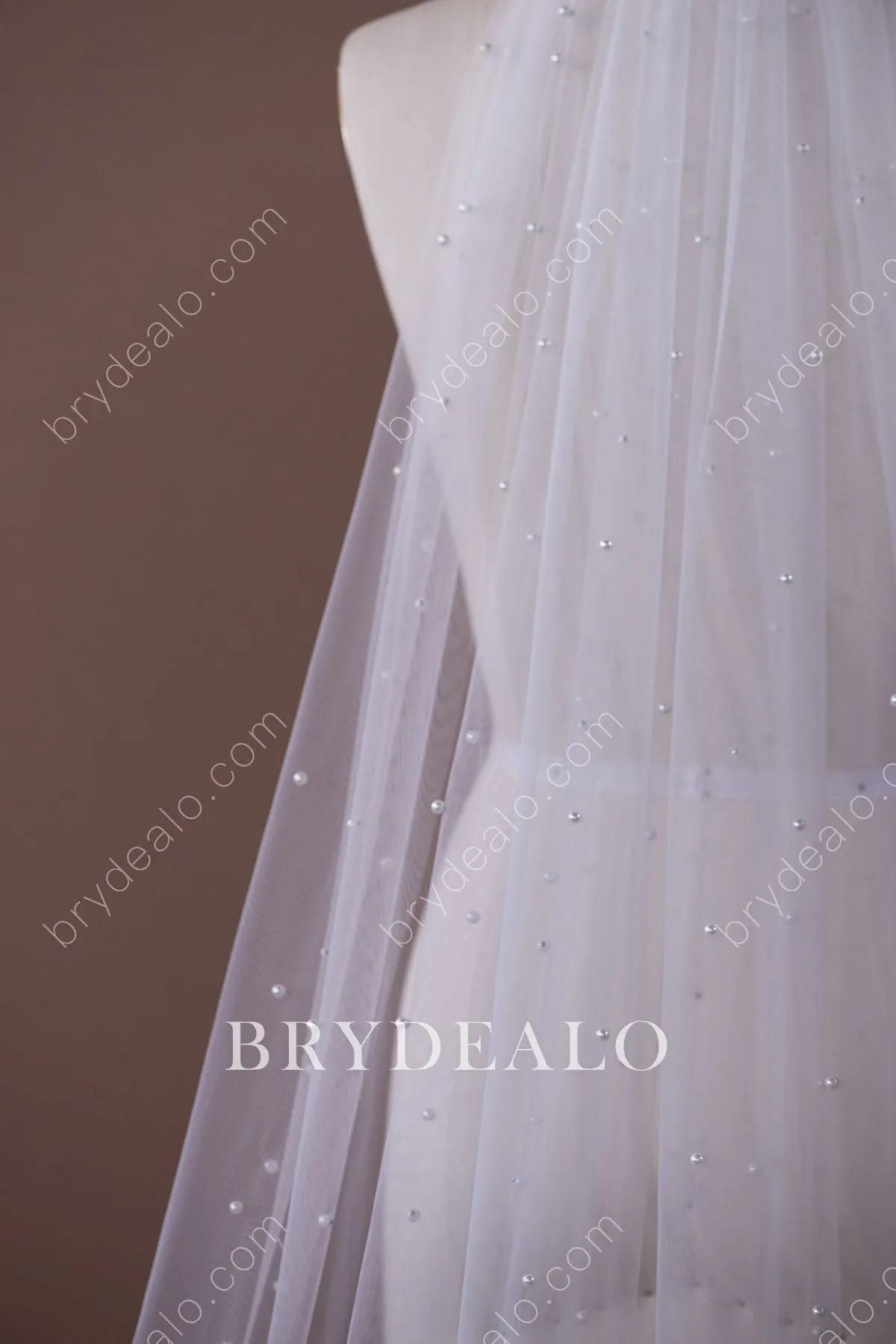 Elegant Polished Pearls Cathedral Length Bridal Veil