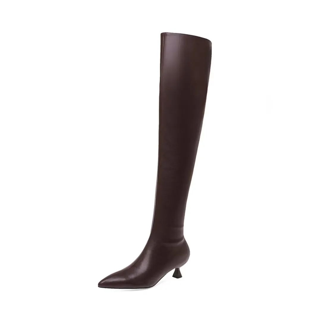 ElegantLeather Chic Pointed Toe Over-Knee Boots